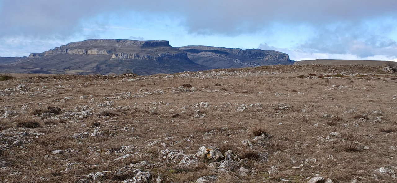 WhatsApp Image 2026-02-10 at 11.24.09